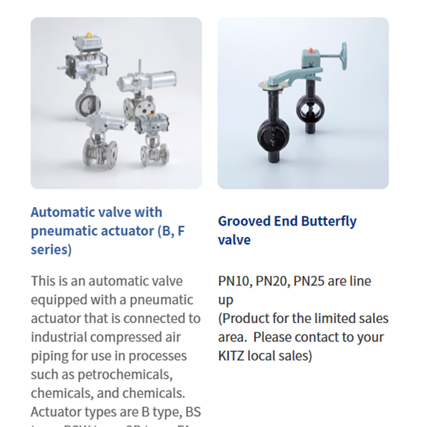 KITZ日本開滋閥門、10K電動(dòng)蝶閥EXS100-10DJUE-65A