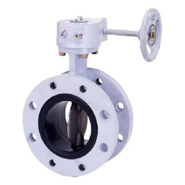 KITZ開滋閥門\齒輪傳動(dòng)蝶閥BS-10LJF-400A