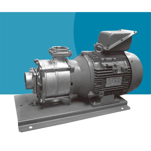 TERAL中～大流量/中揚(yáng)程冷卻泵LPS653/2A-67.5T-e