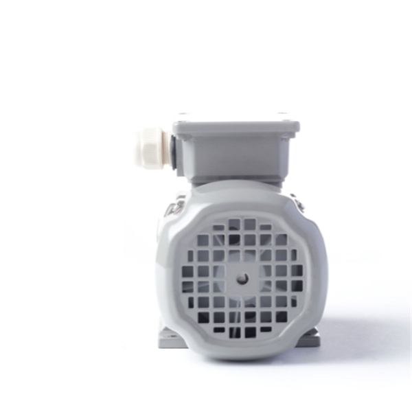 德國AC MOTOREN防火防爆電機(jī)E3-ASA 132 S 4