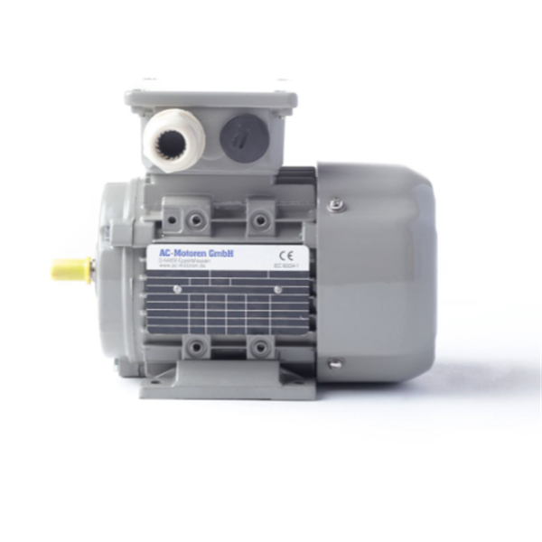 德國AC MOTOREN防火防爆電機(jī)E3-ASA 132 S 4