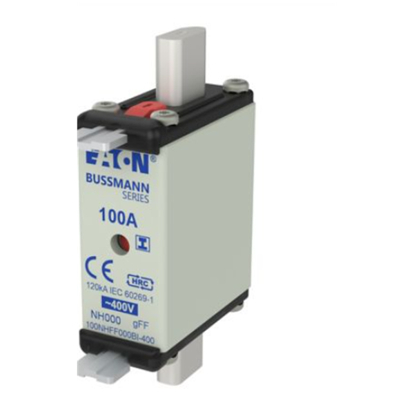 EATON伊頓刀片、玻璃管式斷路器和二極管CB185P-110